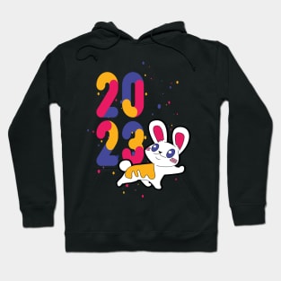 Funny New Years with a cute Rabbit Hoodie